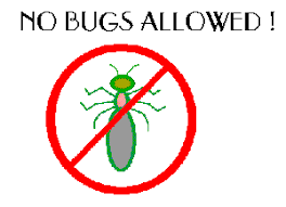 no bugs