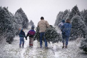 christmas farm